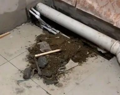 无棣卫生间漏水检测哪家好