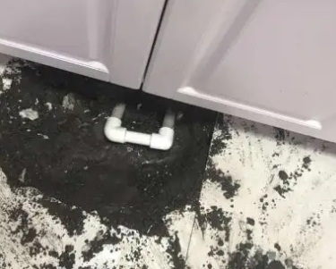 无棣查漏水哪家好