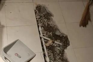 无棣卫生间漏水检测电话